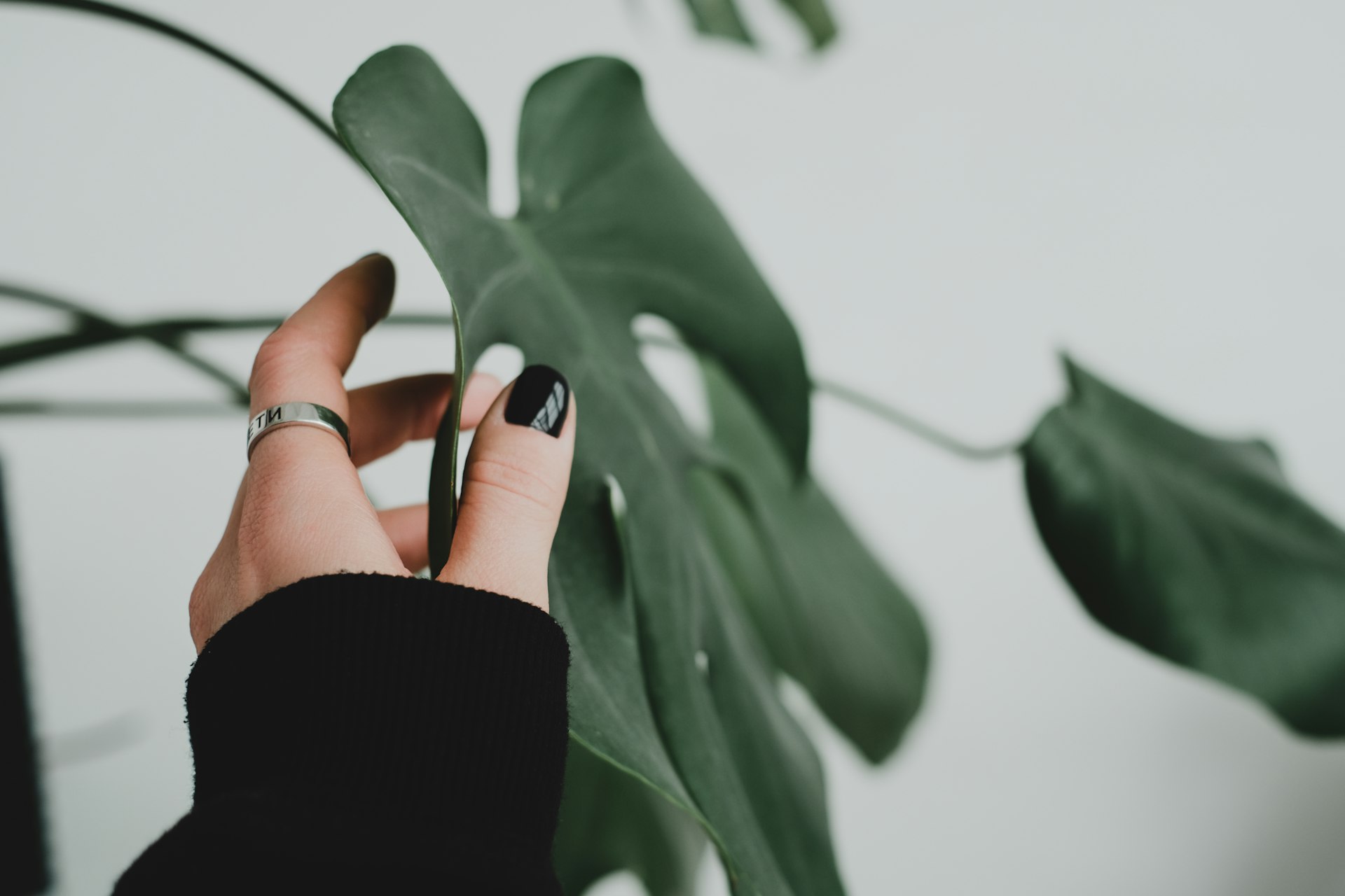 Tropical Monstera Leaf Almond Nails